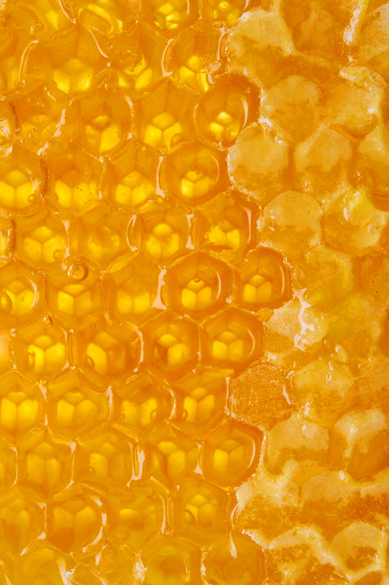 macro-honeycomb