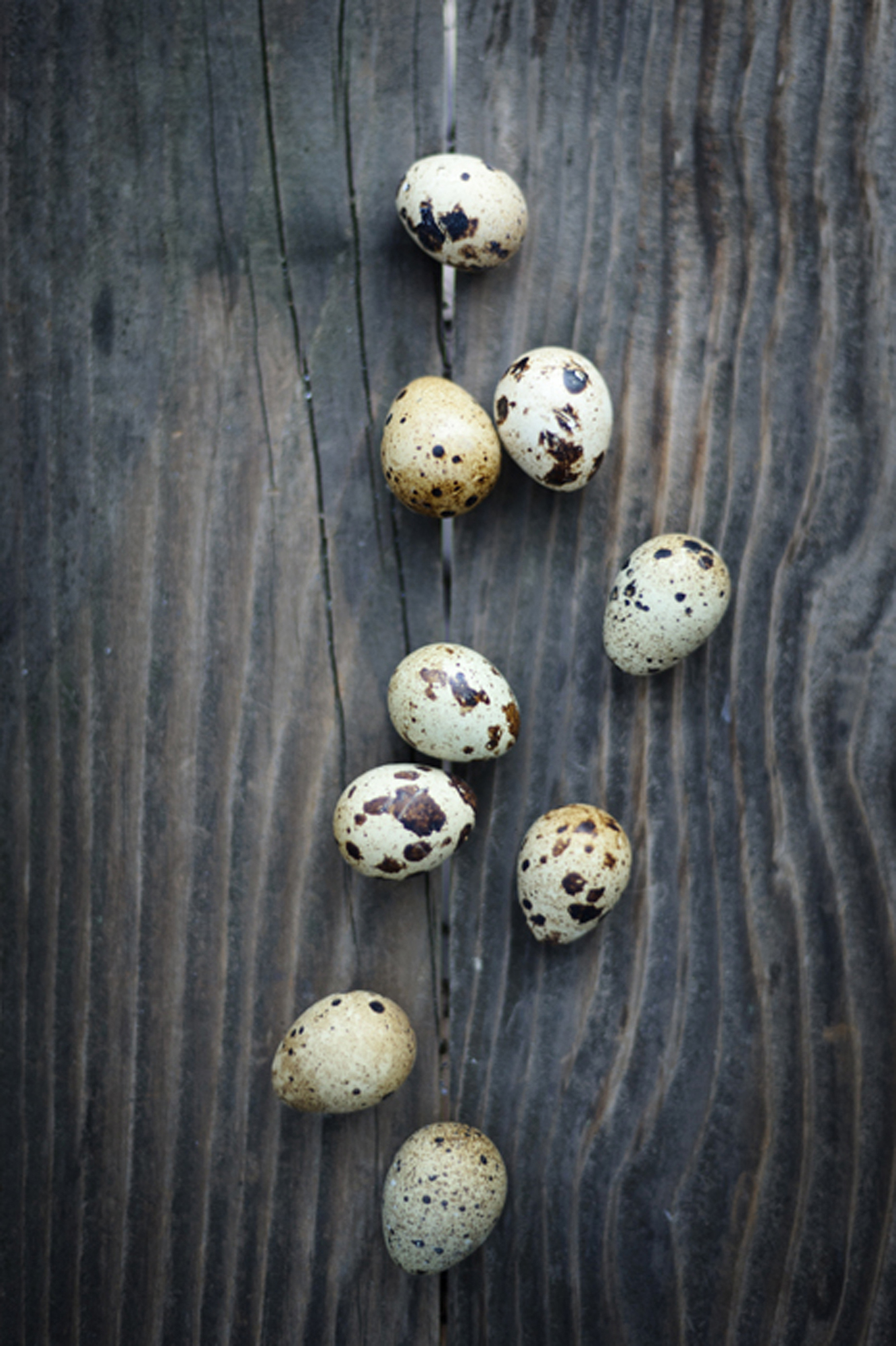 quail-eggs-on-wood