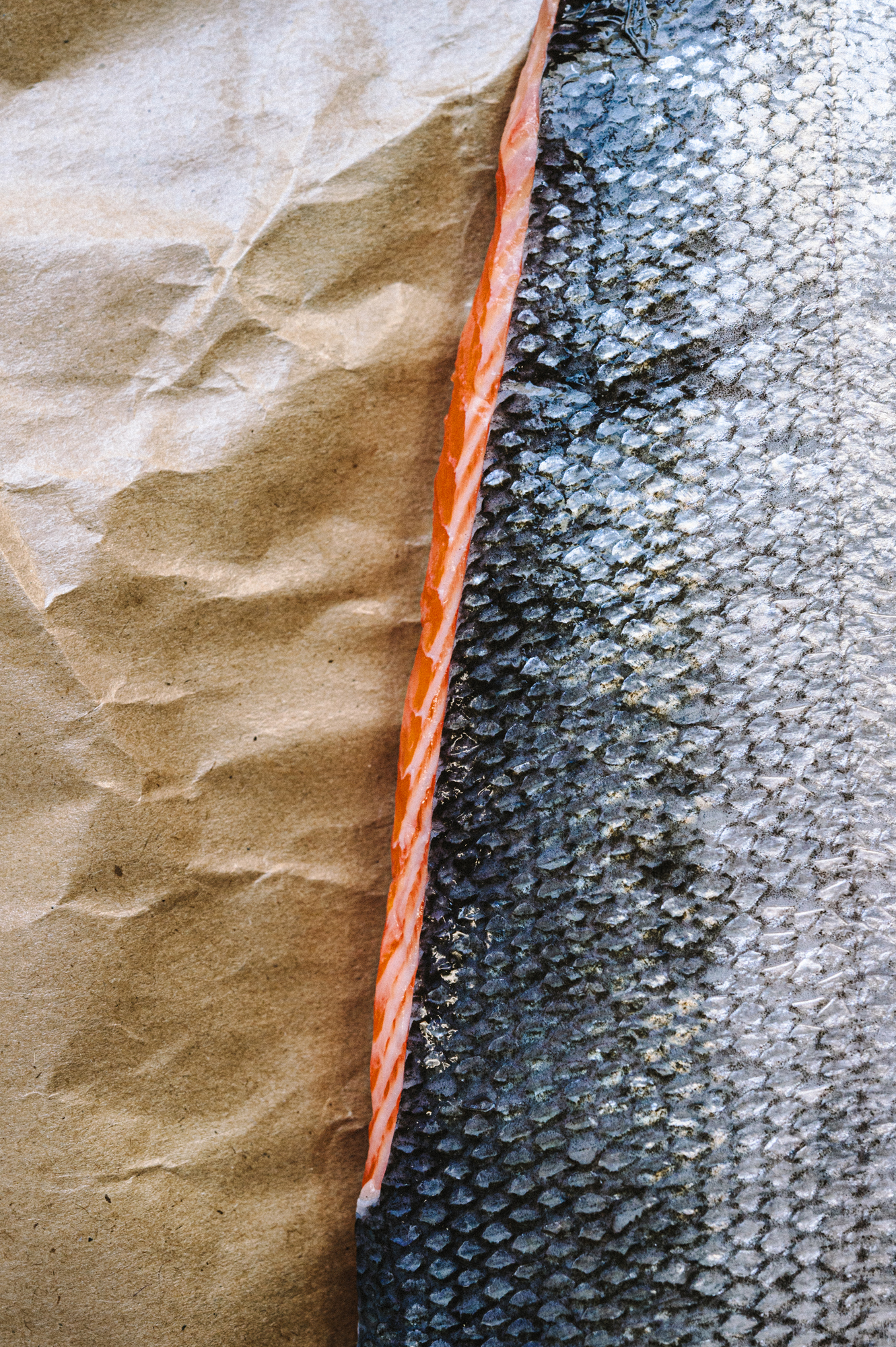 salmon-skin-close-up