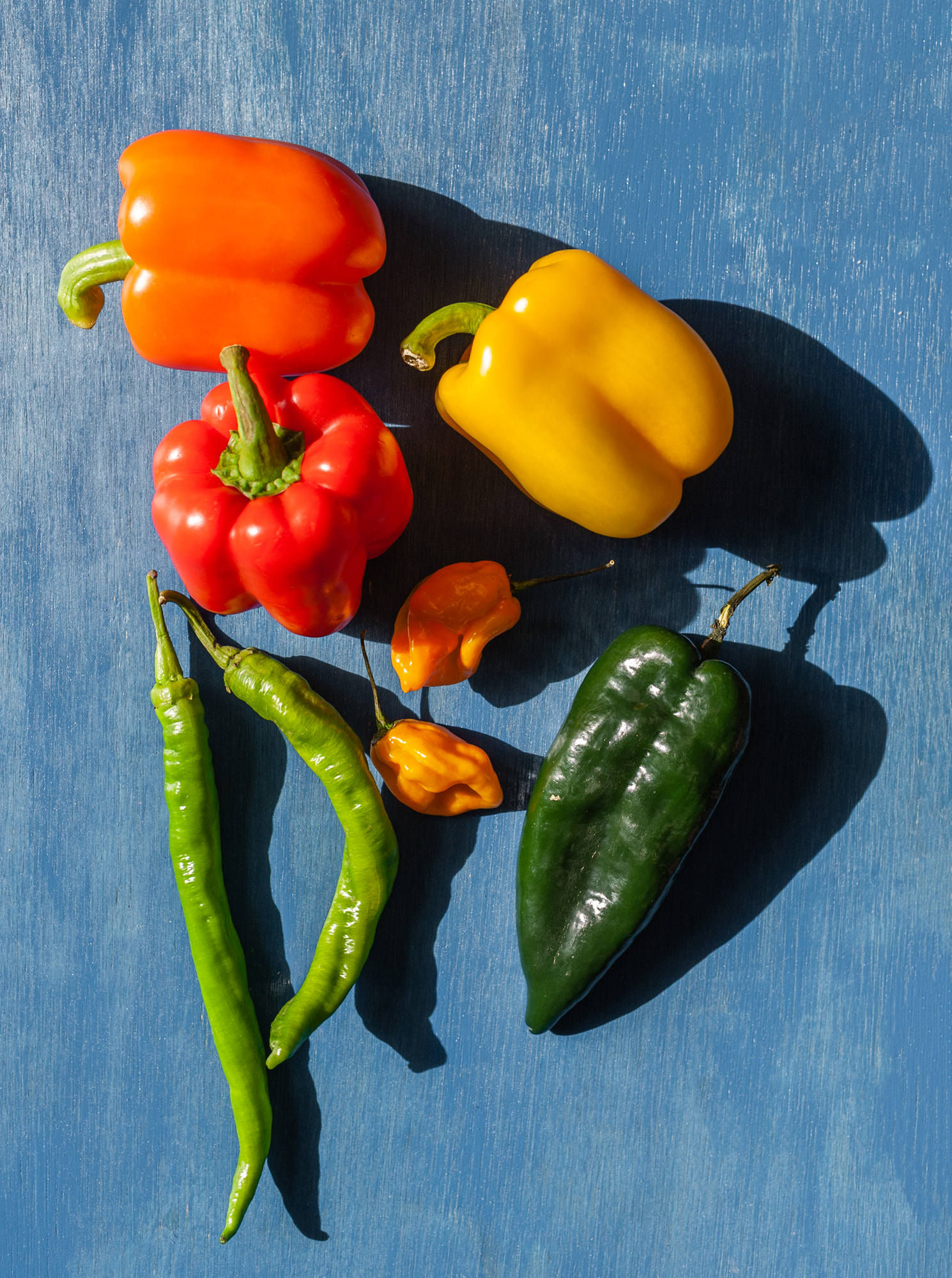 peppers-on-sunny-background